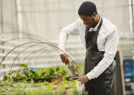 B.Sc Agricultural Economics and Extension