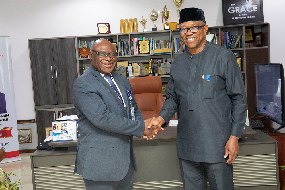 Slide 11