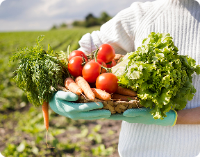 Horticulture / Farm
